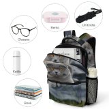 yanfind Children's Backpack Lazy Young Grey Pet Outdoors Family Portrait Cute Love Little Sleep Cat Preschool Nursery Travel Bag