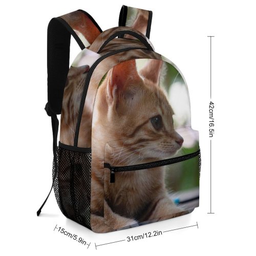yanfind Children's Backpack Young Pet Funny Portrait Curiosity Cute Little Sit Sleep Cat  Whisker Preschool Nursery Travel Bag