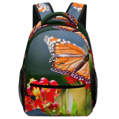 yanfind Children's Backpack Mariposa Buenos Mariposamonarca Caba Fly Domain Monarch Butterfly Argentina Public Bee Preschool Nursery Travel Bag