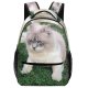 yanfind Children's Backpack Kitty Grass Pet Outdoors Kitten Portrait Tabby Whiskers Lawn Cute Little Adorable Preschool Nursery Travel Bag