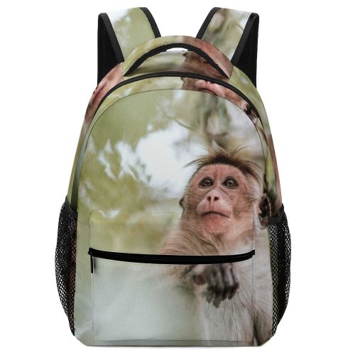 yanfind Children's Backpack Images Sri Dambulla Free Wildlife Insect Pictures Invertebrate Lanka Monkey Baboon Preschool Nursery Travel Bag