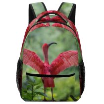 yanfind Children's Backpack Beautiful Wing Wild    Colur Avian Plumage Wildlife Outdoors Beak Preschool Nursery Travel Bag