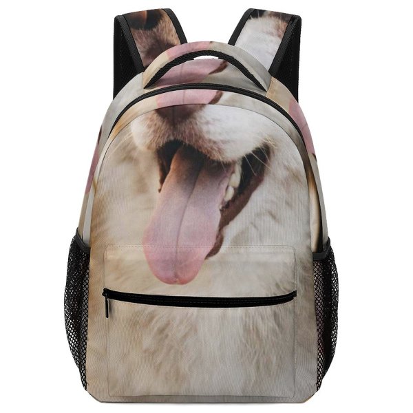 yanfind Children's Backpack  Focus Dog Sit Pet Fur Adorable Cute Preschool Nursery Travel Bag