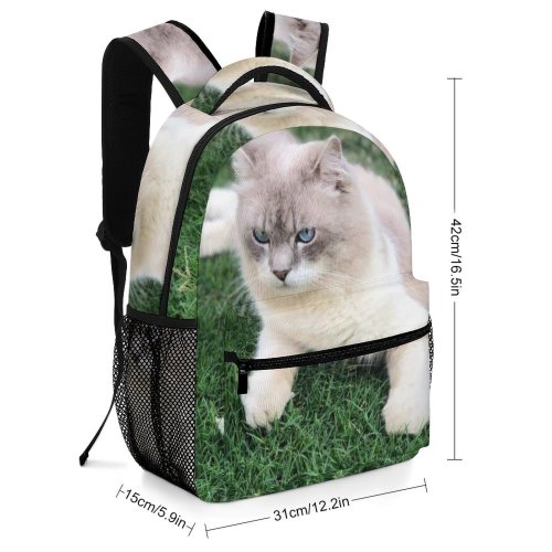 yanfind Children's Backpack Kitty Grass Pet Outdoors Kitten Portrait Tabby Whiskers Lawn Cute Little Adorable Preschool Nursery Travel Bag