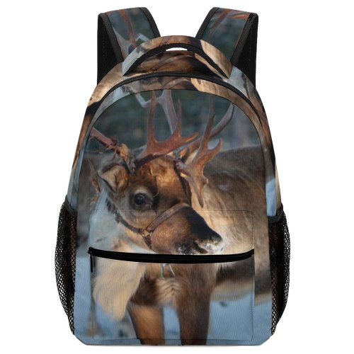 yanfind Children's Backpack  Focus Frozen Winter Season Depth Reindeer  Field Snow Snowy Antlers Preschool Nursery Travel Bag