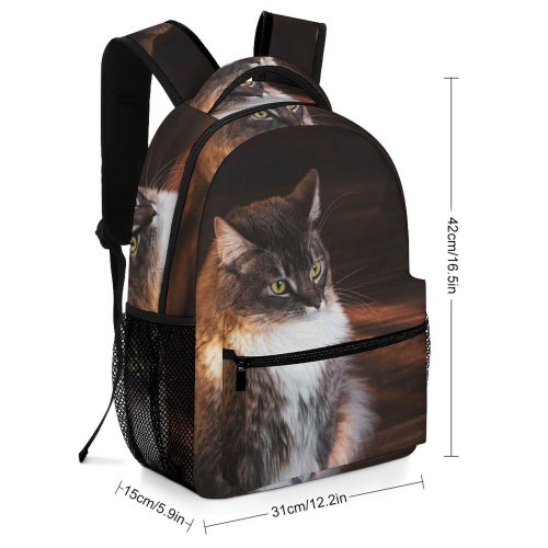 yanfind Children's Backpack Funny Curiosity Sunset Cute  Portrait Kitten Pet Furry Whisker Fur Wildlife Preschool Nursery Travel Bag