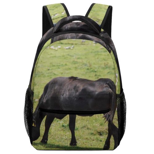 yanfind Children's Backpack Cattle Cow Field Grassland Outdoors Countryside Farm Rural Meadow Pasture Ranch Grazing Preschool Nursery Travel Bag