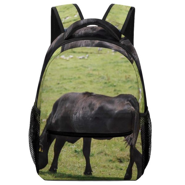 yanfind Children's Backpack Cattle Cow Field Grassland Outdoors Countryside Farm Rural Meadow Pasture Ranch Grazing Preschool Nursery Travel Bag
