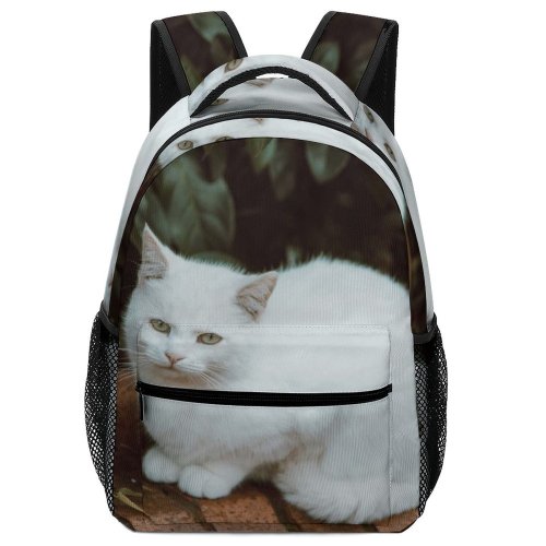 yanfind Children's Backpack Funny Curiosity Outdoors Sit Cute Cat  Portrait Staring Kitten Pet Fur Preschool Nursery Travel Bag