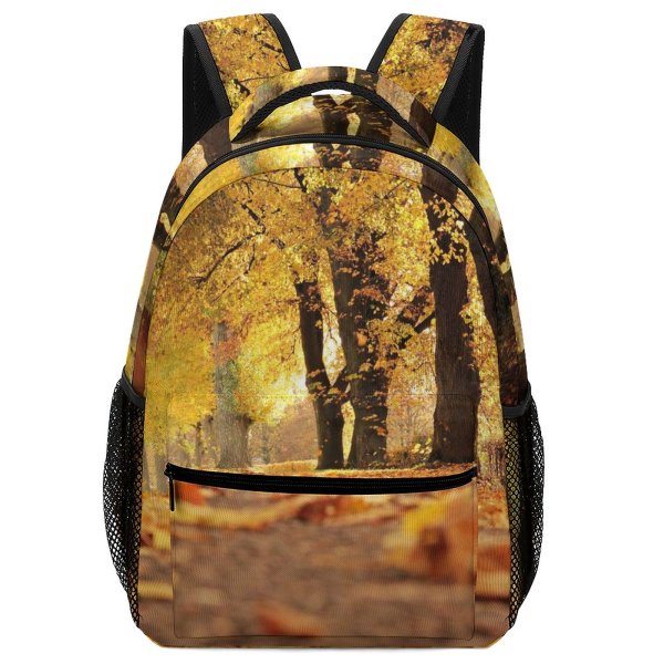 yanfind Children's Backpack  Focus Park Forest Wood Autumn Landscape Rest Sunny Coloring  Outdoor Preschool Nursery Travel Bag