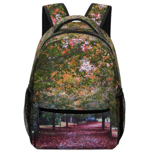 yanfind Children's Backpack Fallen Leaf Plant Domain Trunk Pictures Tree October Leaves Maple Public Preschool Nursery Travel Bag