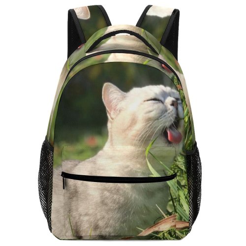 yanfind Children's Backpack Young Grass Pet Funny Outdoors Portrait Dog Cute Little Adorable Sit Cat Preschool Nursery Travel Bag