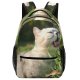 yanfind Children's Backpack Young Grass Pet Funny Outdoors Portrait Dog Cute Little Adorable Sit Cat Preschool Nursery Travel Bag