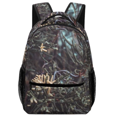 yanfind Children's Backpack Abies Pine Lonely Plant Pictures Stock Grey Tree Fir Free Leaves Preschool Nursery Travel Bag