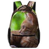 yanfind Children's Backpack Funny Curiosity Sit Cute Sleep Cat Young Little  Portrait Pet Whisker Preschool Nursery Travel Bag
