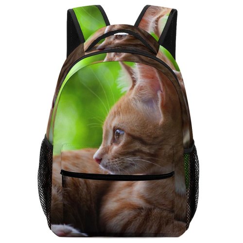 yanfind Children's Backpack Funny Curiosity Sit Cute Sleep Cat Young Little  Portrait Pet Whisker Preschool Nursery Travel Bag