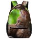 yanfind Children's Backpack Funny Curiosity Sit Cute Sleep Cat Young Little  Portrait Pet Whisker Preschool Nursery Travel Bag