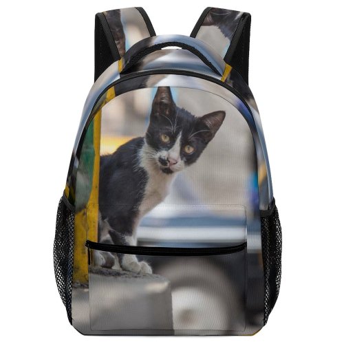 yanfind Children's Backpack India Pet Felidae Whiskers Field Focus MH  Adorable Staring Furry Depth Preschool Nursery Travel Bag