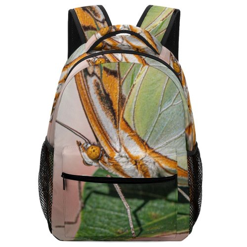 yanfind Children's Backpack Butterfly Invertebrate Insect Tradewinds Park Road Coconut Creek Fl Usa Arachnid Preschool Nursery Travel Bag