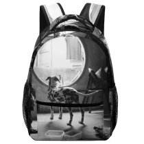 yanfind Children's Backpack Light Puppy Cat Street Home Portrait Room Pet Dog Abandoned Preschool Nursery Travel Bag