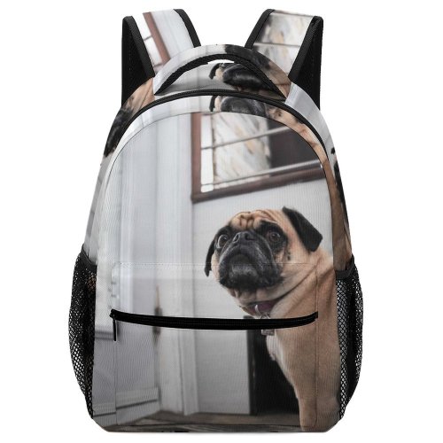 yanfind Children's Backpack Dog Decor Pet Wallpapers Free Pictures Home Grey Images Funny Preschool Nursery Travel Bag