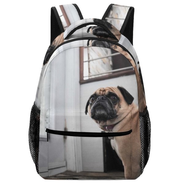 yanfind Children's Backpack Dog Decor Pet Wallpapers Free Pictures Home Grey Images Funny Preschool Nursery Travel Bag