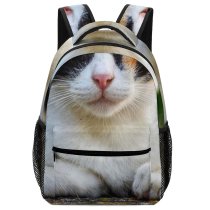 yanfind Children's Backpack Pet Kitten Portrait Curiosity Cute Adorable Staring Furry Sit Cat  Whisker Preschool Nursery Travel Bag