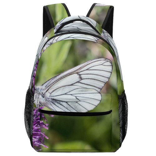 yanfind Children's Backpack Bee Honey Insect Invertebrate Flower Plant Butterfly  Zermatt Suisse Thistle Purple Preschool Nursery Travel Bag