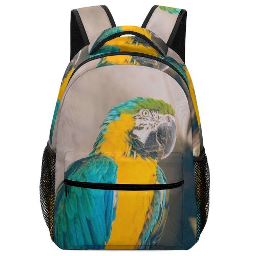 yanfind Children's Backpack Birds Parrot Macaw Santiago Chile Feathers Fauna Guacamayo Love Wall Beak Creative Preschool Nursery Travel Bag