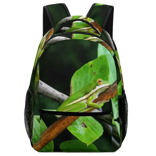 yanfind Children's Backpack Frog Amphibian Wildlife Plant  Bud Flora Flower Sprout Winder United States Preschool Nursery Travel Bag