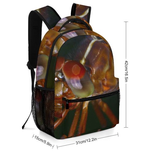 yanfind Children's Backpack Drangonfly Brazil Insect Macro Dragonflies Damseflies Drosophila Melanogaster Invertebrate Pest Preschool Nursery Travel Bag