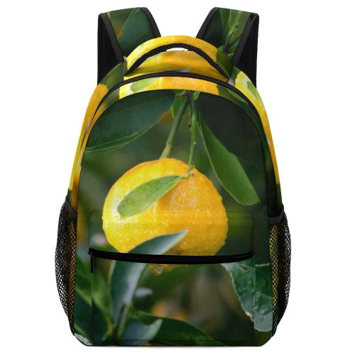 yanfind Children's Backpack Freshness Tree Lemon Juice Dewdrops Nutrition Tropical Fruit Crop Preschool Nursery Travel Bag