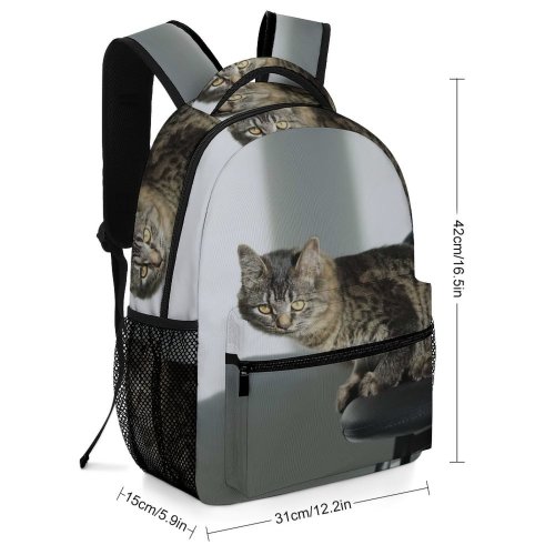 yanfind Children's Backpack Funny Curiosity Sit Cute Young  Portrait Kitten Grey Whisker Downy Fur Preschool Nursery Travel Bag
