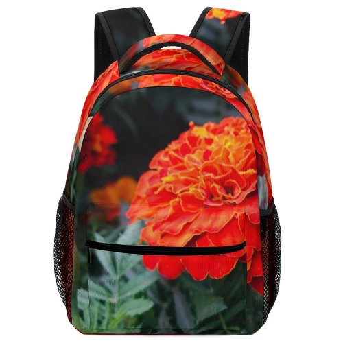 yanfind Children's Backpack  Flower Geranium Plant Rose Petal Jar Potted Pottery Vase Vibrant Asteraceae Preschool Nursery Travel Bag