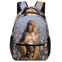 yanfind Children's Backpack Images Wildlife Pictures Nepal Free Swayambhunath Monkey Baboon Preschool Nursery Travel Bag