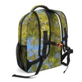 yanfind Children's Backpack Wallpapers Pictures Oak Plant Domain Sycamore Tree Images Public Preschool Nursery Travel Bag