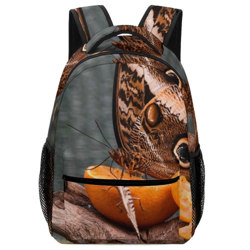 yanfind Children's Backpack Butterfly Insect Invertebrate Lizard Reptile Budapest Állatkert Magyarország Plant Monarch Preschool Nursery Travel Bag