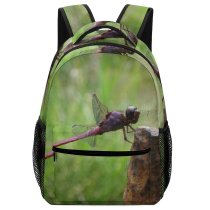 yanfind Children's Backpack Insect Fly Outdoors Dragonflies Damseflies Invertebrate Net Winged Insects Organism Hawker Preschool Nursery Travel Bag