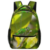 yanfind Children's Backpack Insects Insect Dragonflies Damseflies Macro Organism Invertebrate Plant Leaf Preschool Nursery Travel Bag