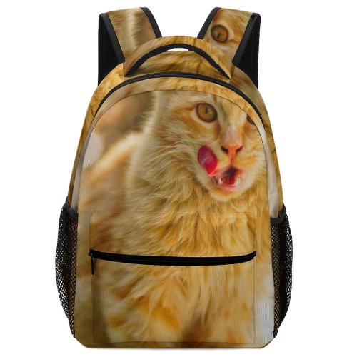 yanfind Children's Backpack Medium Cats Carnivore Pet Sized Outdoors Expression Felidae Kitten Portrait Whiskers Cute Preschool Nursery Travel Bag
