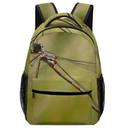 yanfind Children's Backpack Insect Damselfly Dragonflies Damseflies Net Winged Insects Invertebrate Grass Family Preschool Nursery Travel Bag