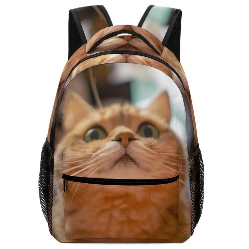 yanfind Children's Backpack Young Studio Pet Funny Kitten Portrait Cute Little Face Pretty  Whisker Preschool Nursery Travel Bag