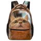 yanfind Children's Backpack Young Studio Pet Funny Kitten Portrait Cute Little Face Pretty  Whisker Preschool Nursery Travel Bag