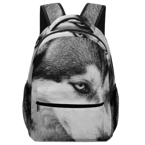 yanfind Children's Backpack Doglife Stare Pet Königsplatz Raphi Augsburg Pictures Grey Raphi_rawr Free Glance Preschool Nursery Travel Bag