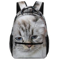 yanfind Children's Backpack Young Grey Pet Funny Kitten Portrait Cute Little Adorable Staring Cat Preschool Nursery Travel Bag