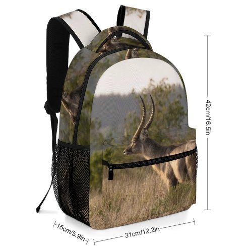 yanfind Children's Backpack Grassland Barbaric Outdoors Daylight Kruger Deer Horn Savanna Bush Grass Gazelle Wild Preschool Nursery Travel Bag