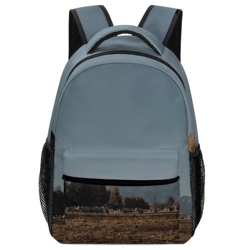 yanfind Children's Backpack Abies Field Tree  Housing Plant Sunset Free Ground Zealand Outdoors Preschool Nursery Travel Bag