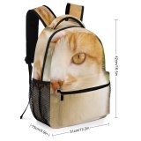 yanfind Children's Backpack Creative Images Cat Pictures Wallpapers Pet Kitten Manx Commons Preschool Nursery Travel Bag