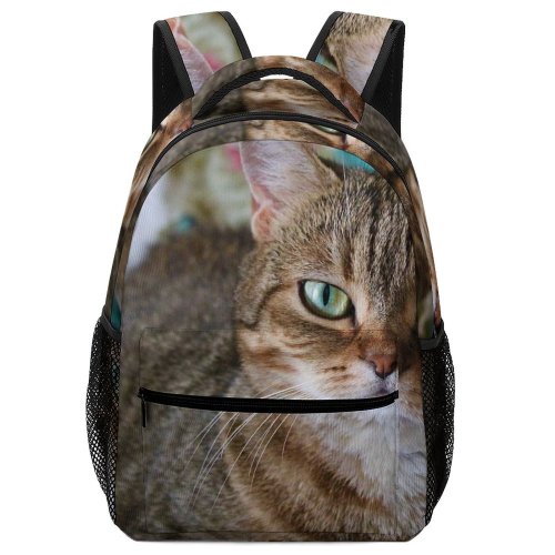 yanfind Children's Backpack Young Grey Pet Funny Kitten Portrait Tabby Cute Little Sleep Cat Preschool Nursery Travel Bag