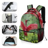 yanfind Children's Backpack Beautiful Wing Wild    Colur Avian Plumage Wildlife Outdoors Beak Preschool Nursery Travel Bag
